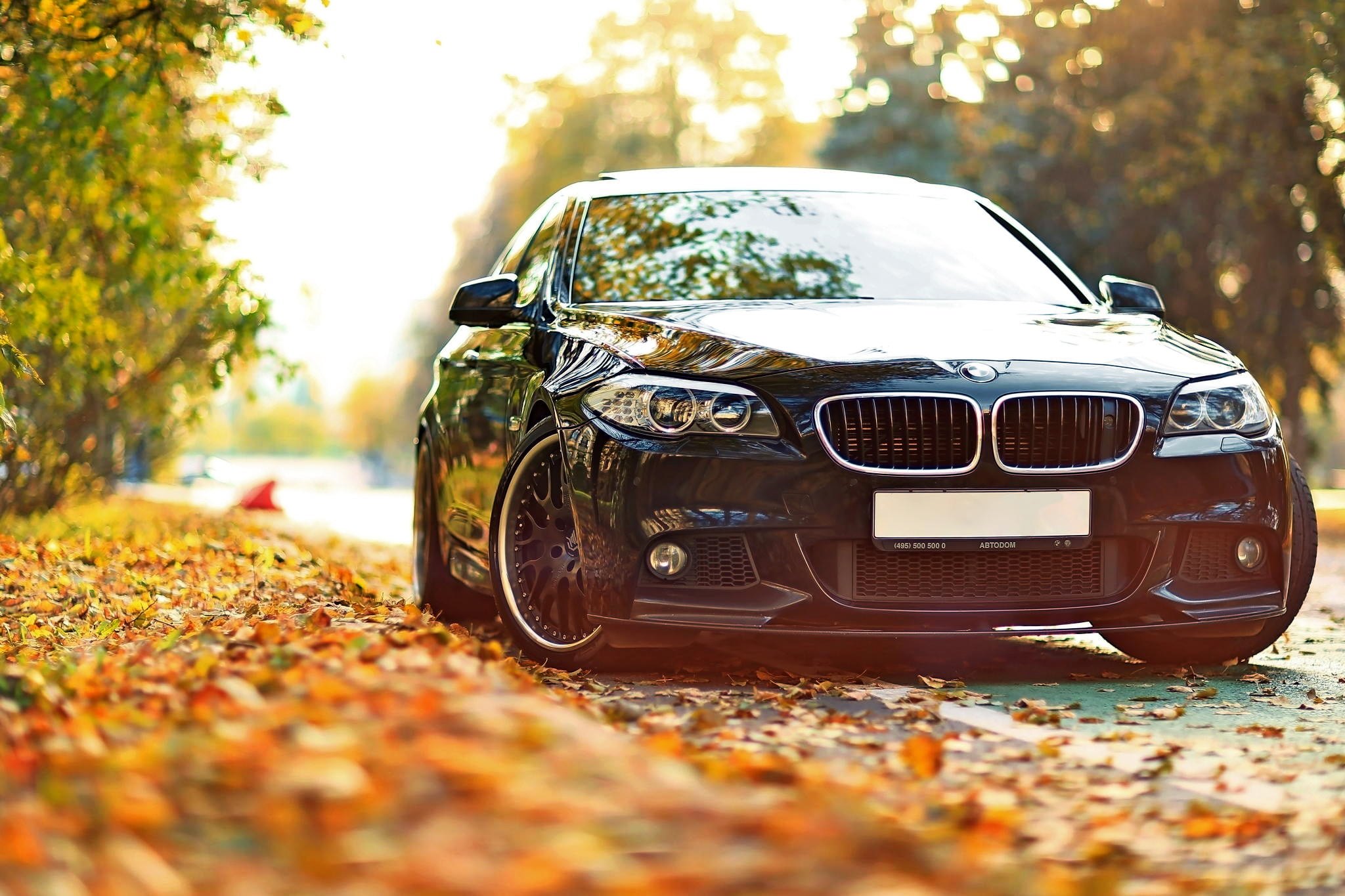 Luxury Car Rental